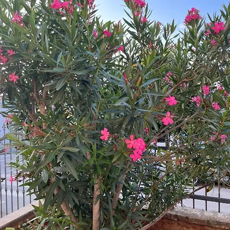 Apartmán A & N With Free Private Parking *