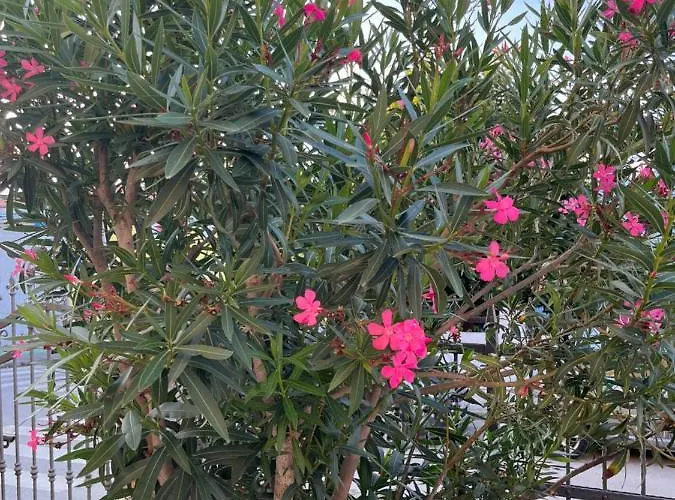 Apartament A & N With Free Private Parking *